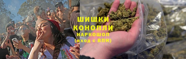 apvp Алзамай
