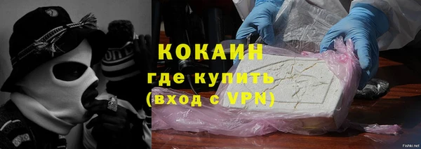 apvp Алзамай