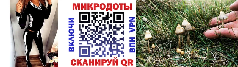 мега зеркало  Арсеньев  Галлюциногенные грибы мухоморы  купить наркотик 
